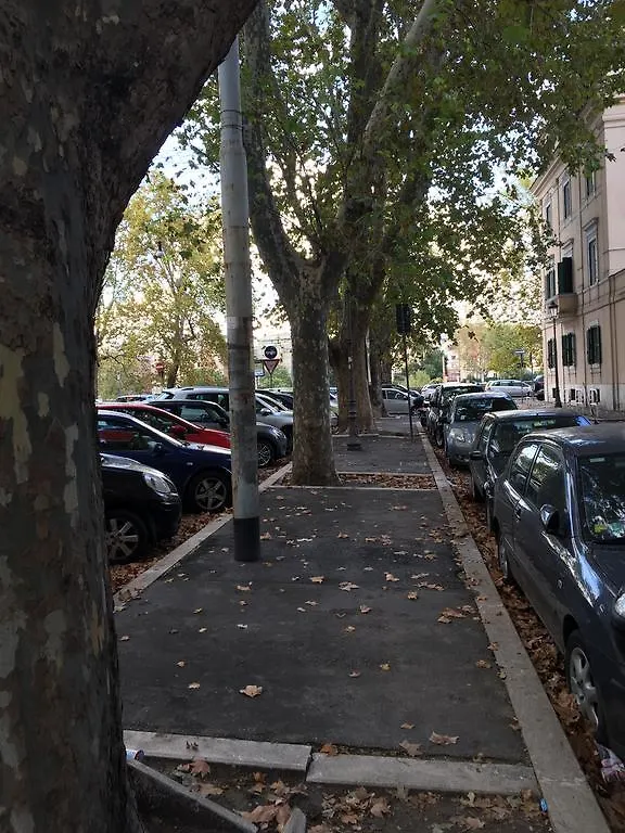 Giulio Cesare Luxury Apartment Rome
